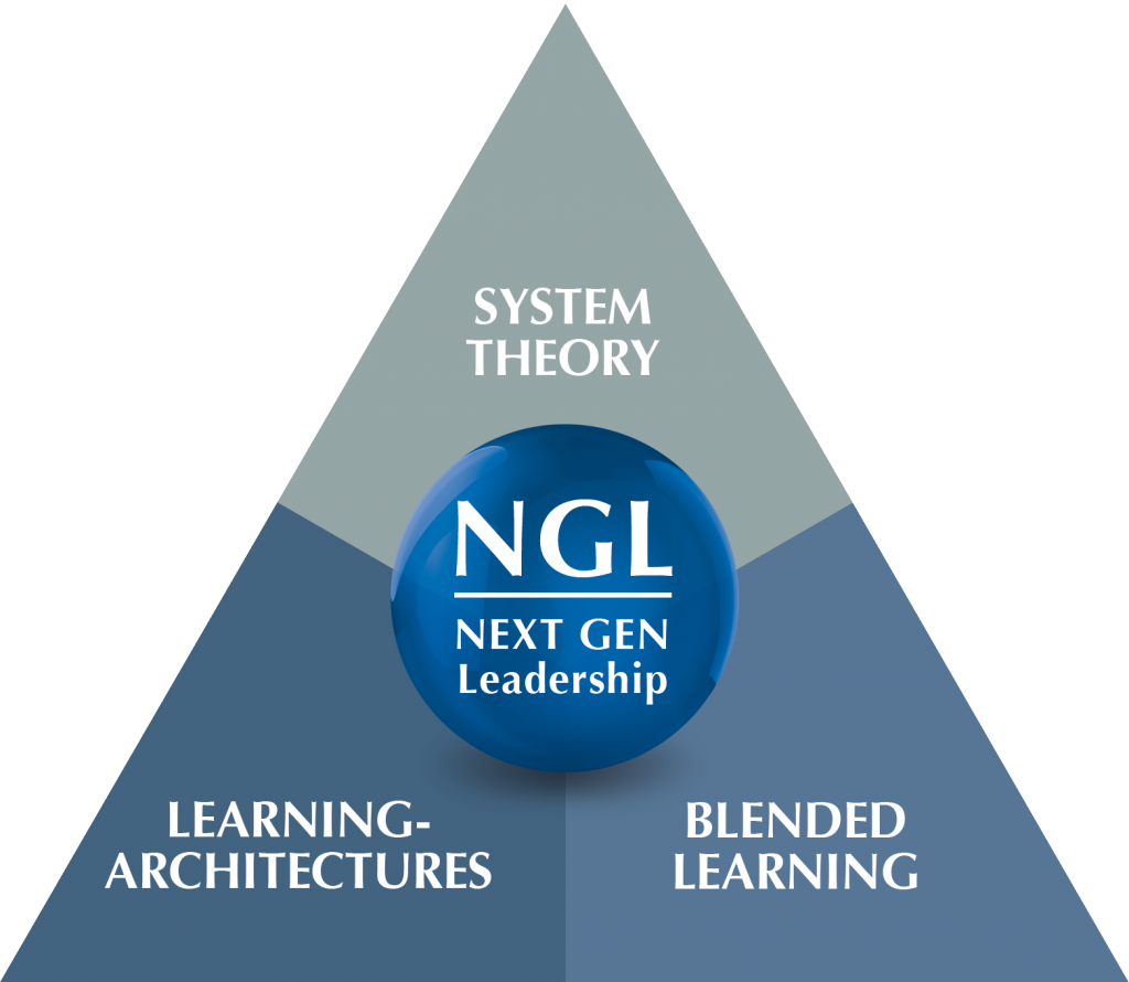 NEXT-GENERATION-Leadership (NGL) - S&P Consulting SE