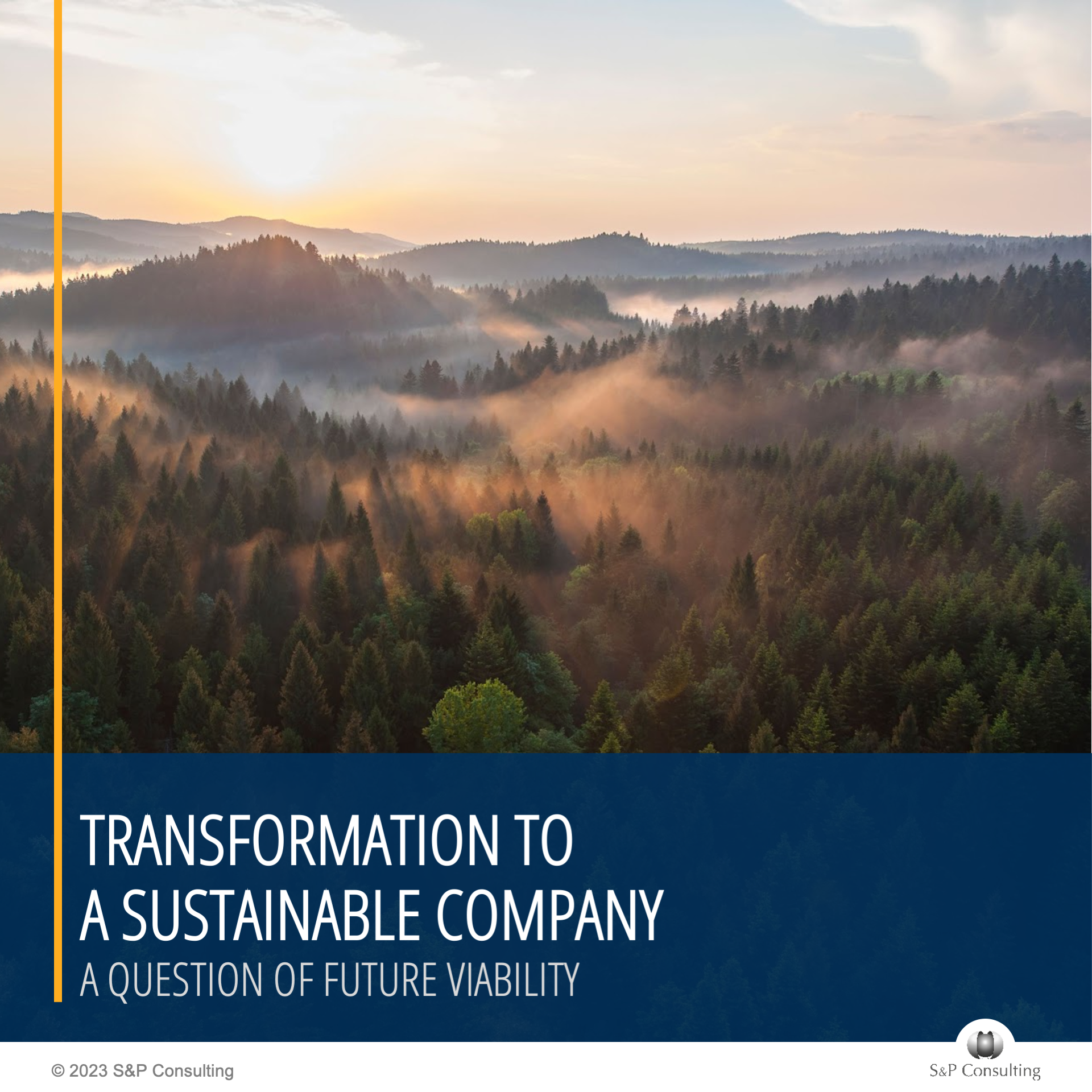 White Paper: Organizational Sustainability